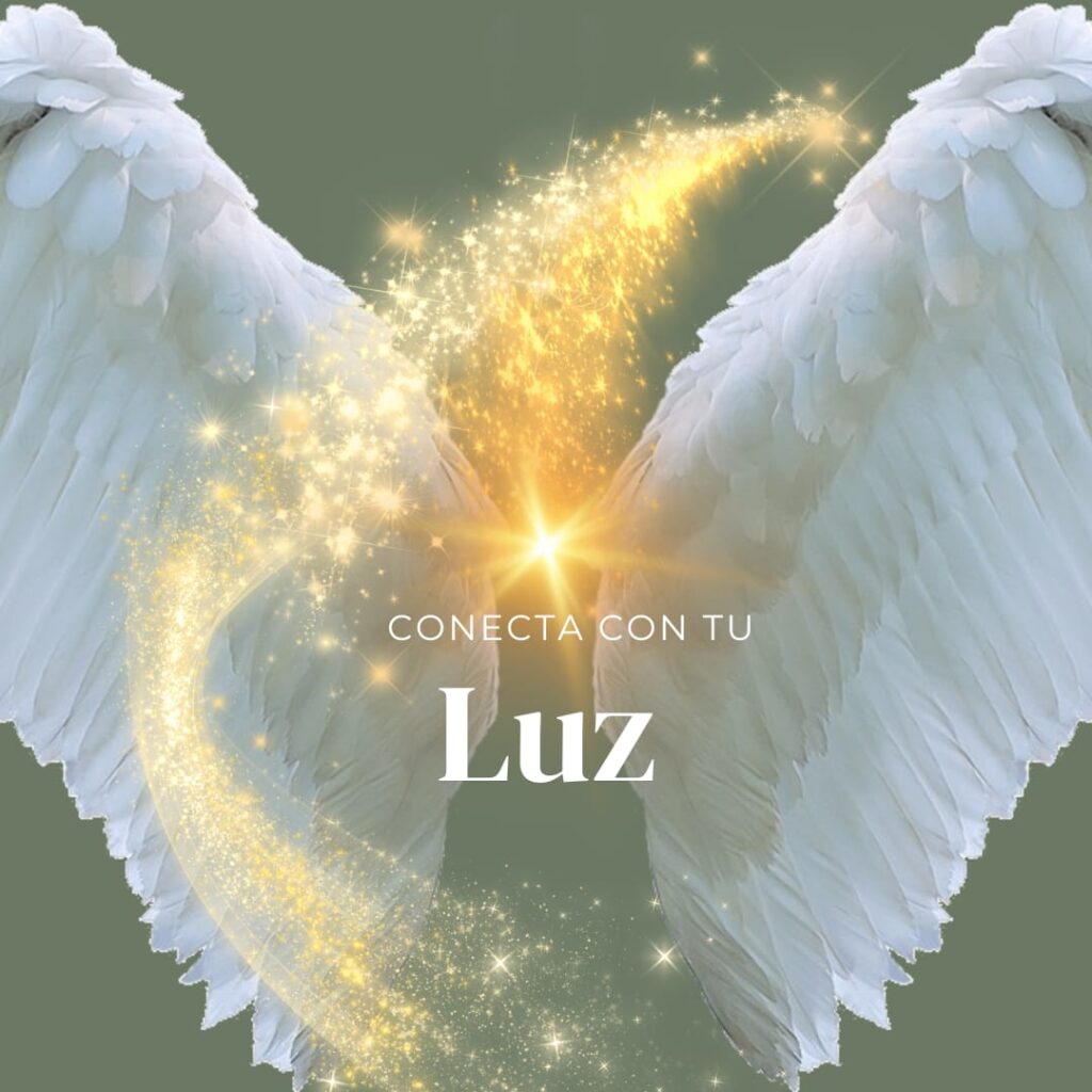 Conecta con Tu Luz 2026